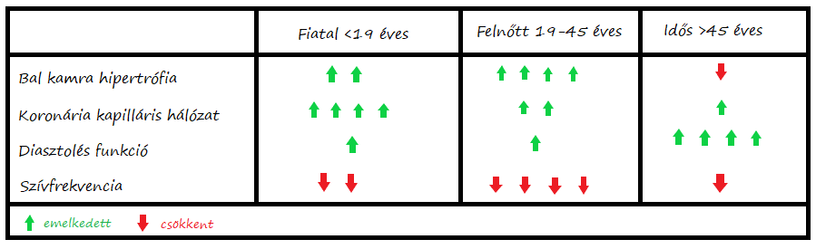 Edzés hatása a szívre kor függvényében