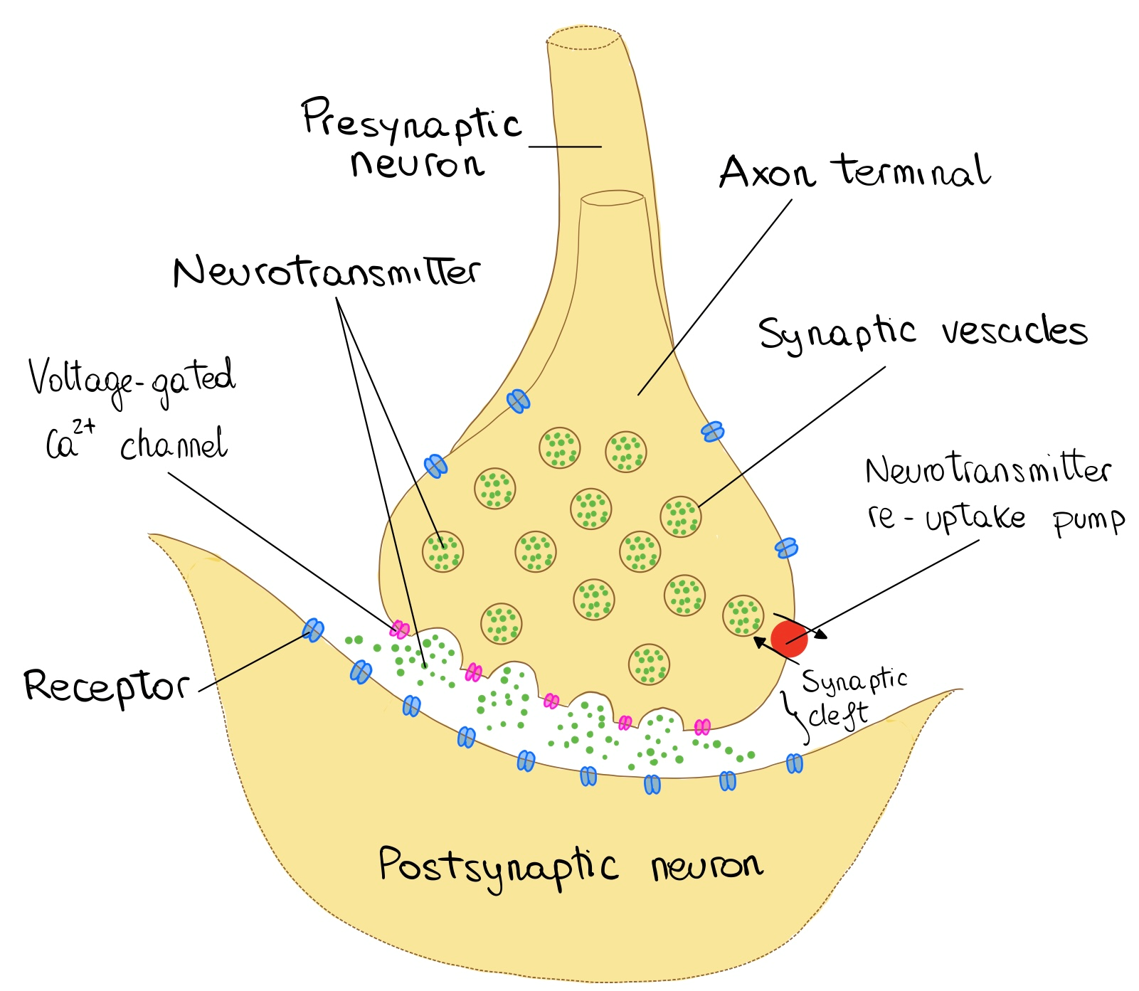 figure 2 new.png