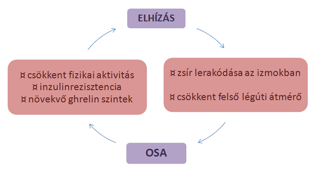 elhizasos.png