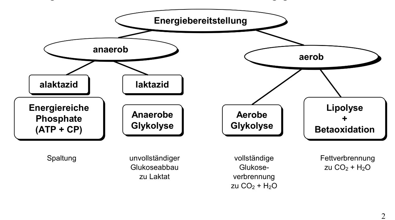 Abb1 Quellen der Energiebereitstellung (dr-Moosburger.at)