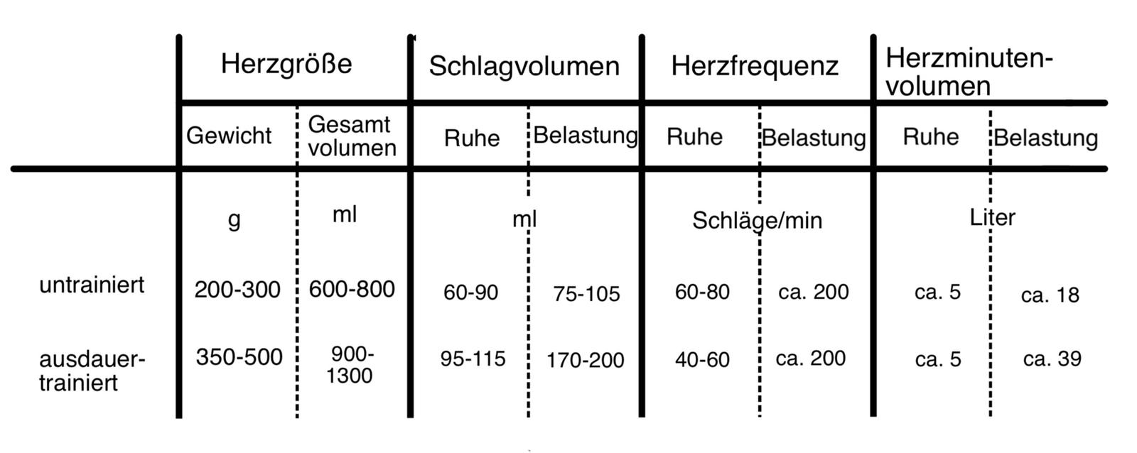 Abbildung 1