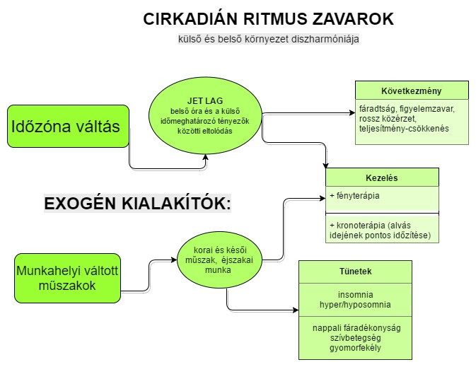 A cirkadián zavarok külső kialakító tényezői