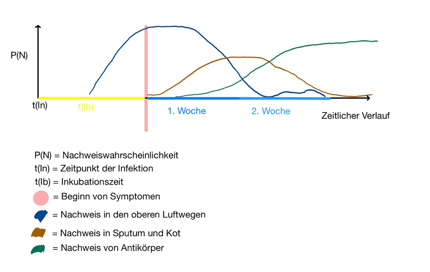 bild.png