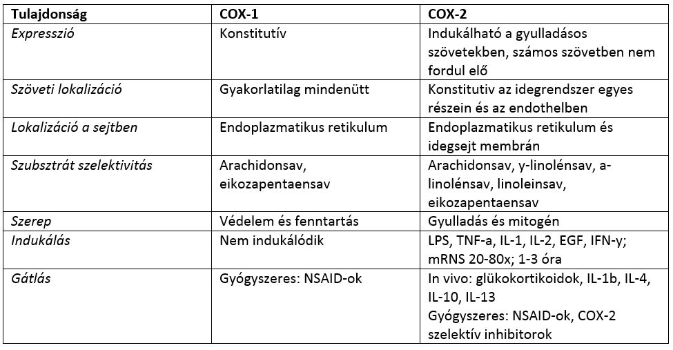 felugró szöveg