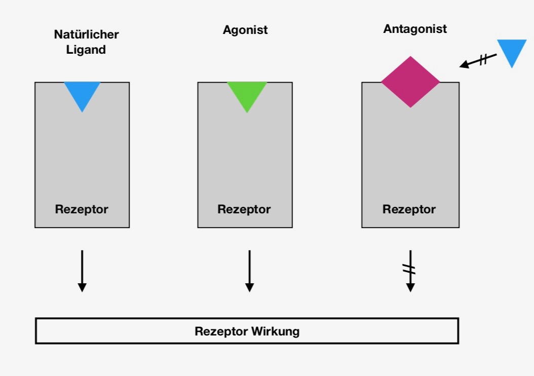 Antagonist