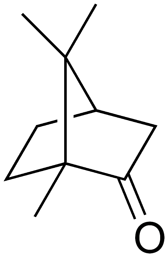 Camphor structure