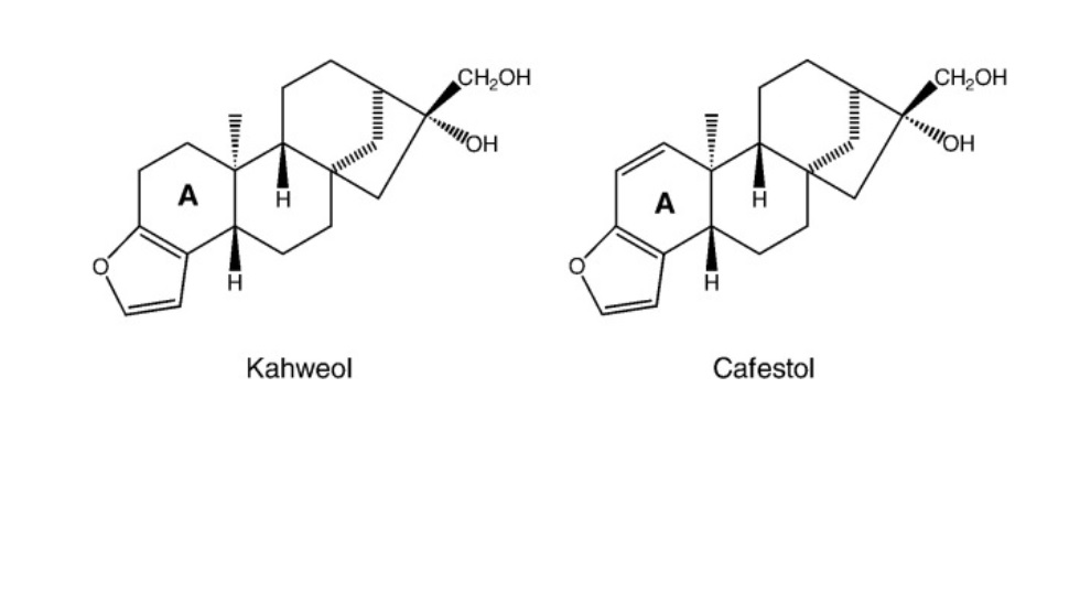 Kahweol + cafestol.jpg