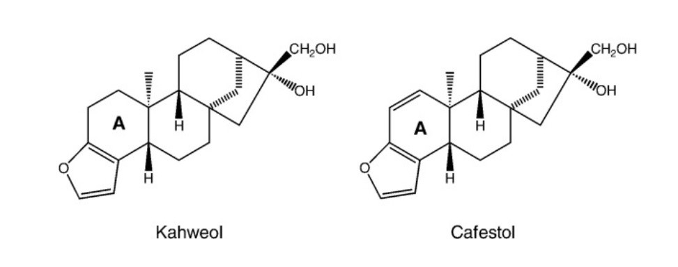 Kahweol + cafestol1.jpg