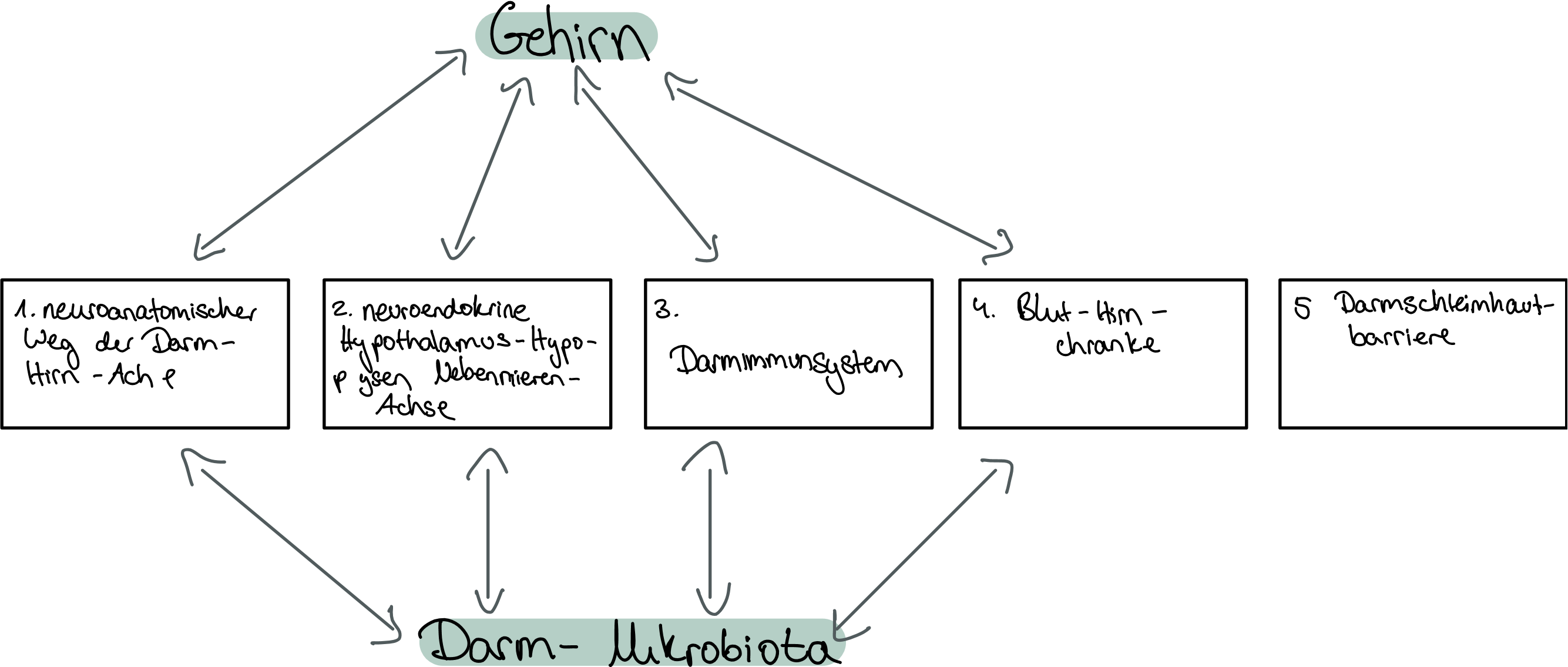 Gehirn-Darm-Verbindung