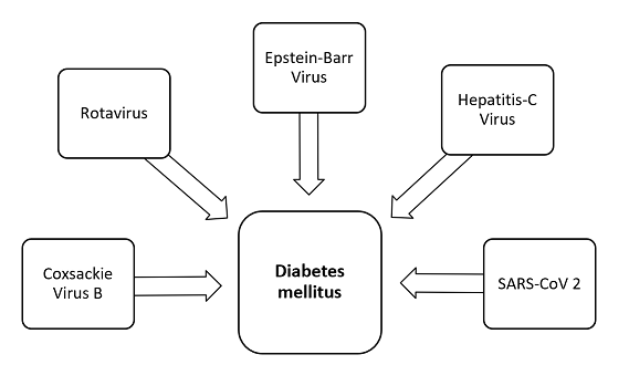 Abbildung 1: Virale Auslöser von Diabetes mellitus