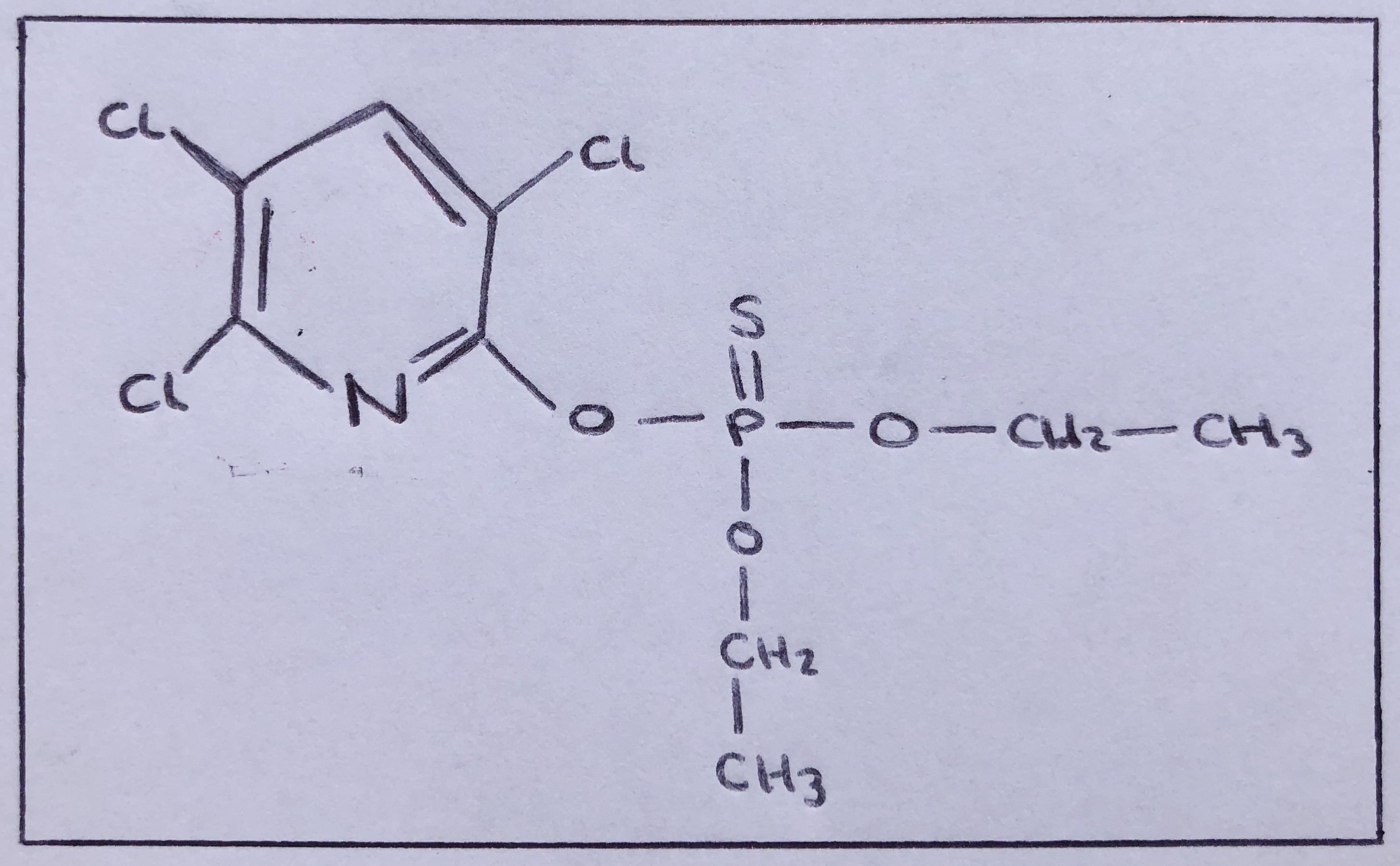 chlorpyrifos.png