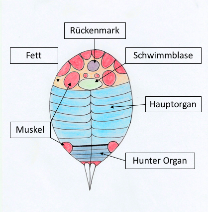 Abbildung2