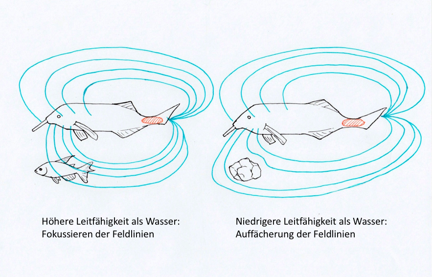 Abbildung5