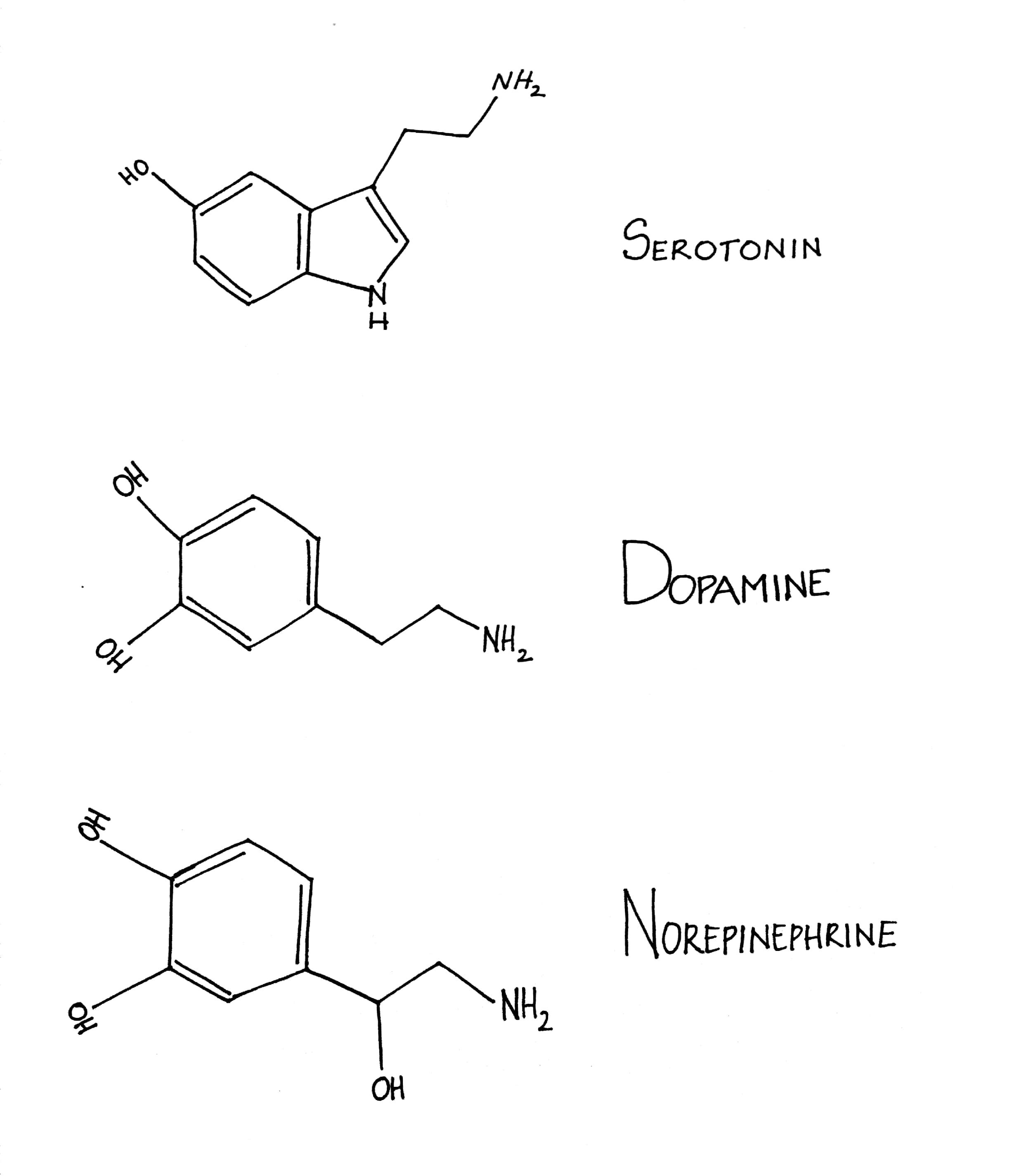 molecules.jpg