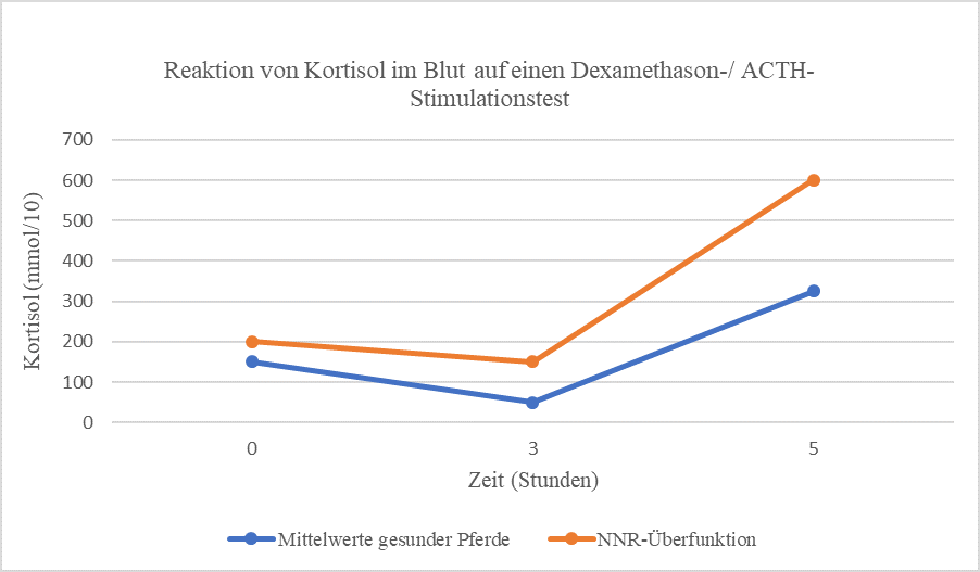 Abbildung3