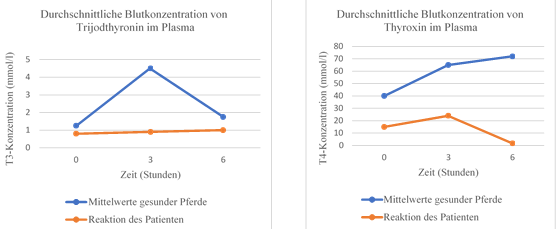 Abbildung5