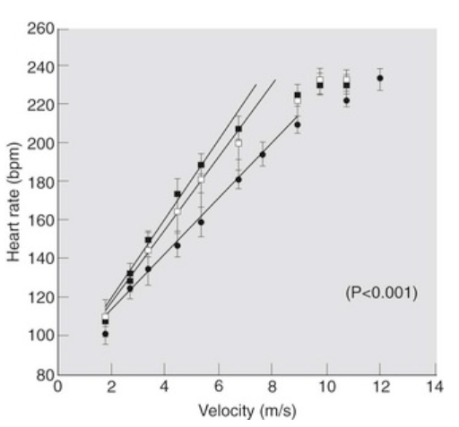 graph 1.png