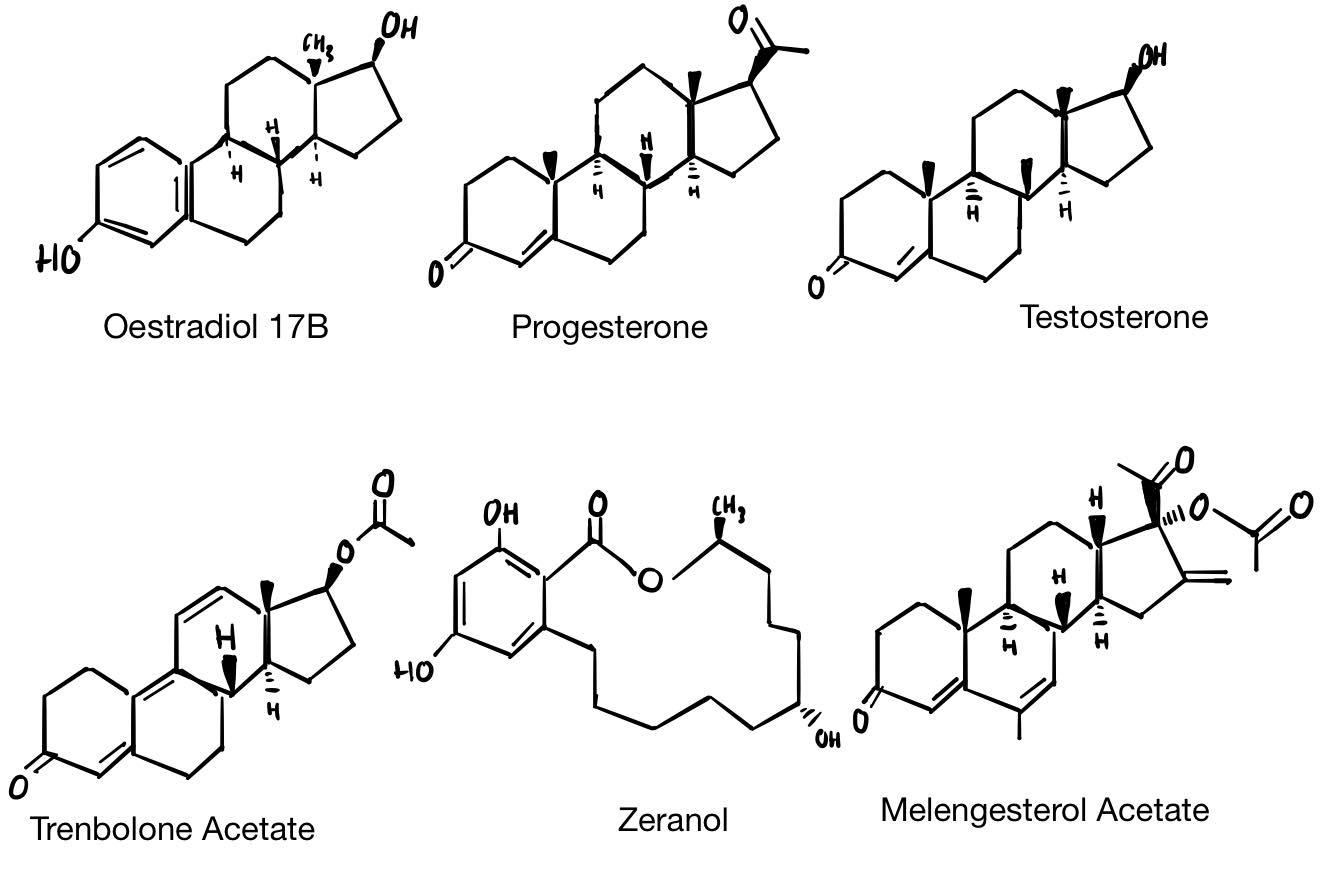 Structures of the Natural and Synthetic Hormones added to Meat Products.png