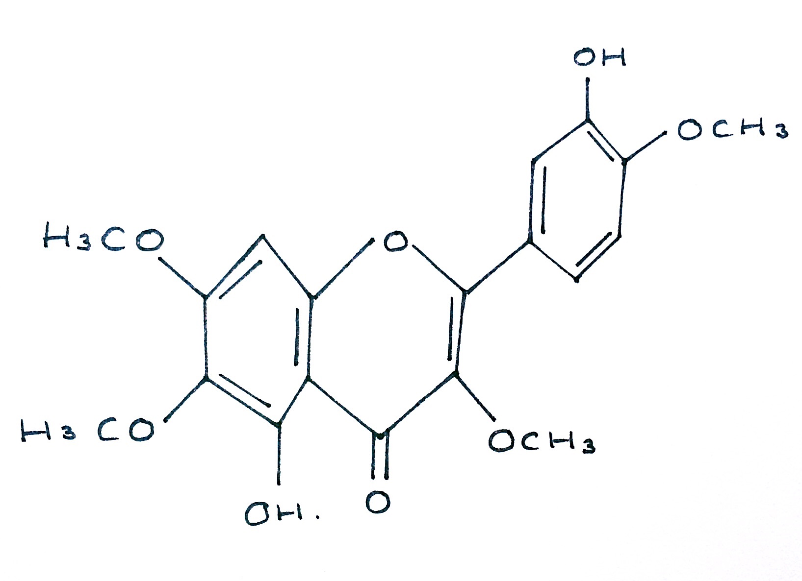 Molecular Structure of Prolactin Hormone.jpg