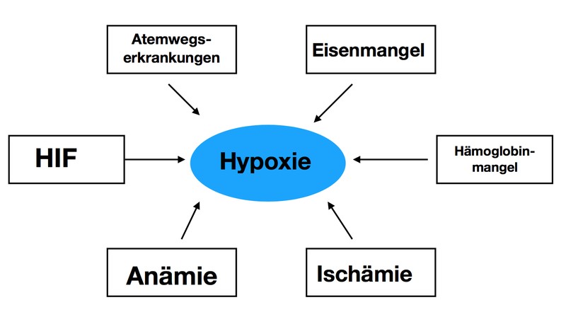 Hypoxie