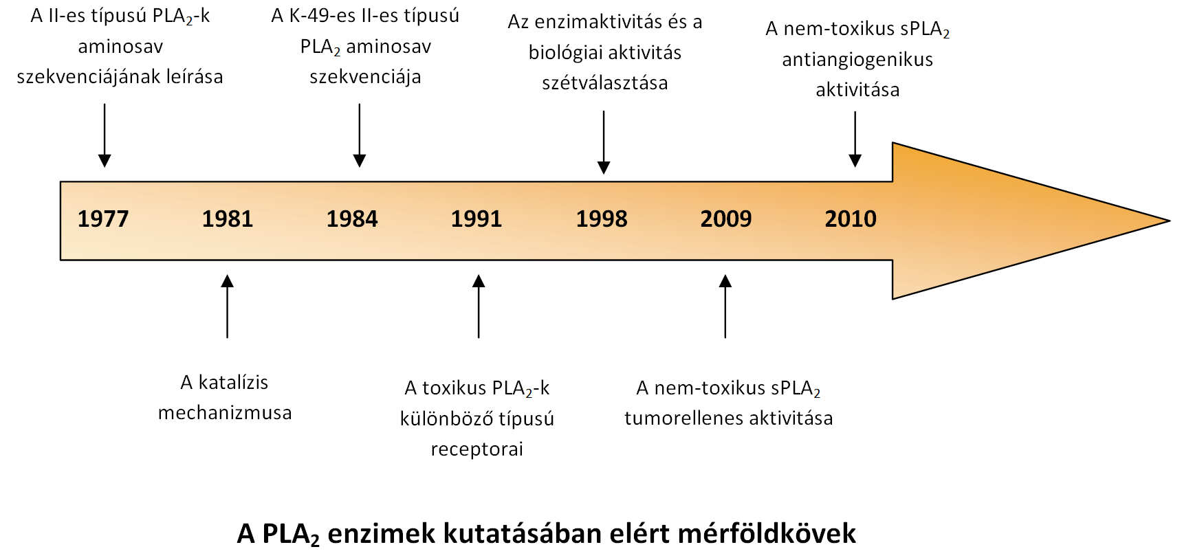 A PLA2 enzimek kutatásában elért mérföldkövek