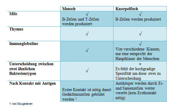 Abbildung1