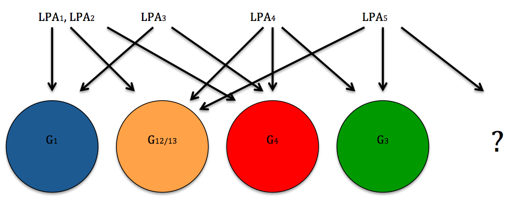 Figure 2: G- Protein's Coupled to LPA Receptors (Redrawn by Student) (Lin, Herr and Chun, 2010)