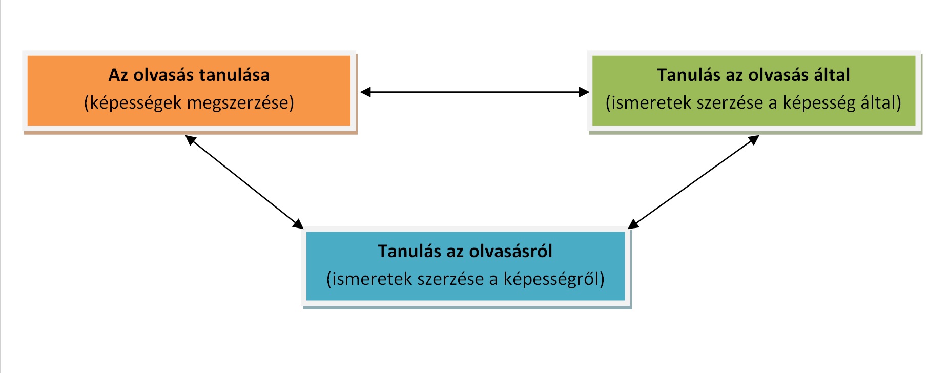 Az olvasás és a tanulás relációi.jpeg