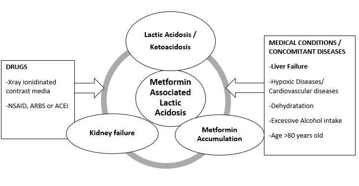 Metformin main side-effects