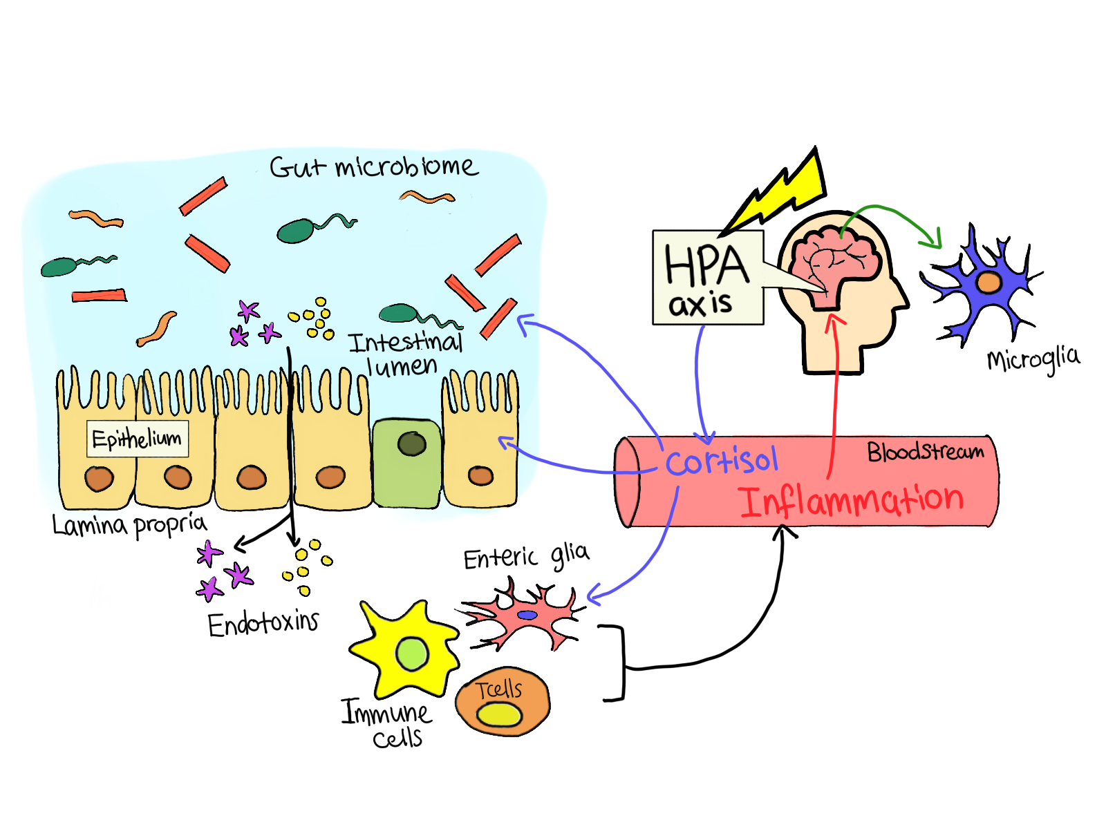 figure 2.png