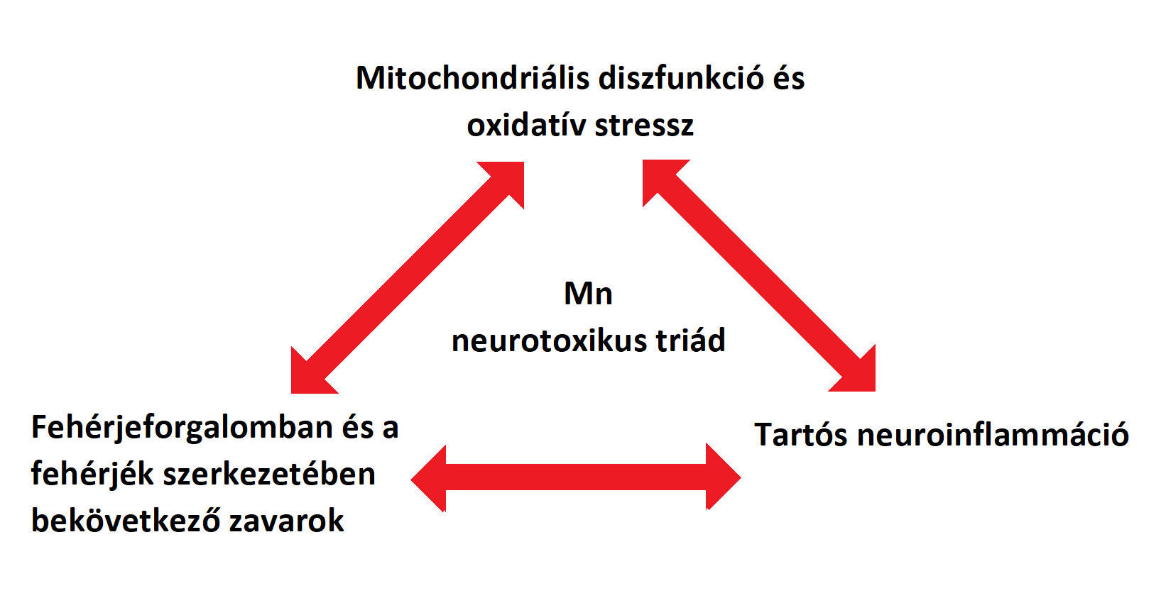 Mn Mechanistic Neurotoxic Triad