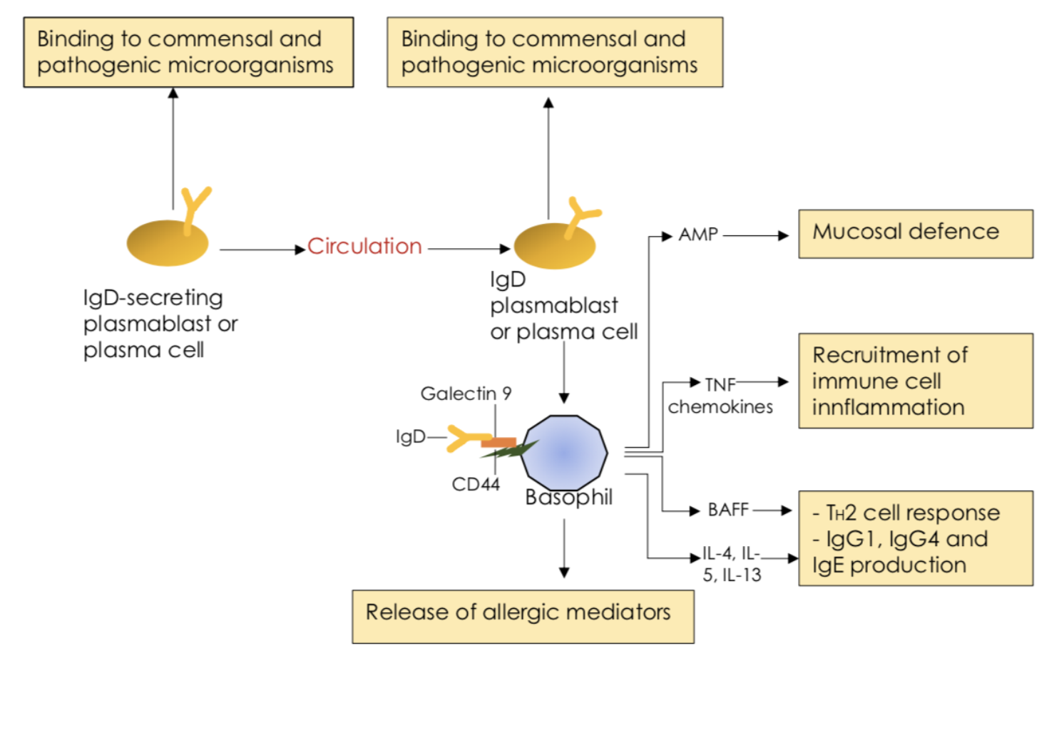 Fig3