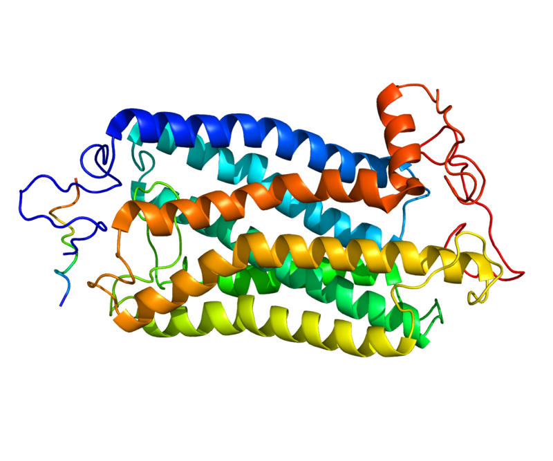 Figure 1: Neurokinin 1 Receptor (Gayen ''et al,'' 2010).