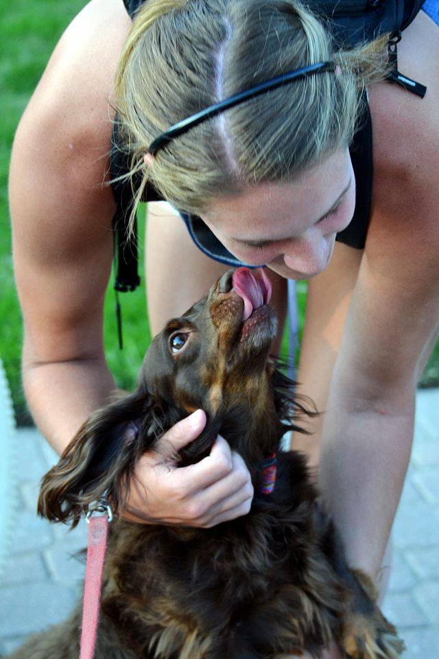 Human and dog interaction