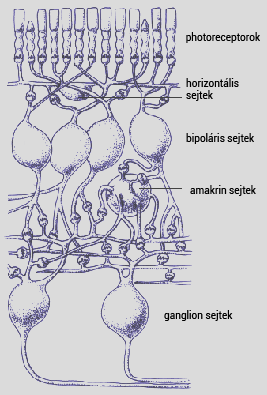 felugró szöveg