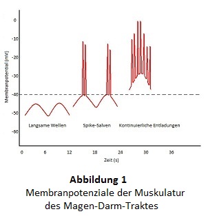 Abbildung 1