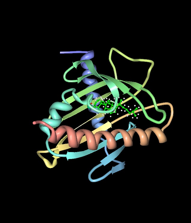 A StAR protein