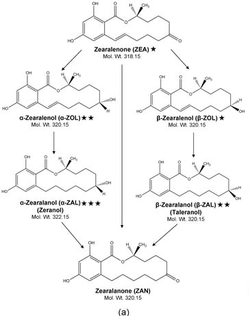 ZEA_Derivative .png