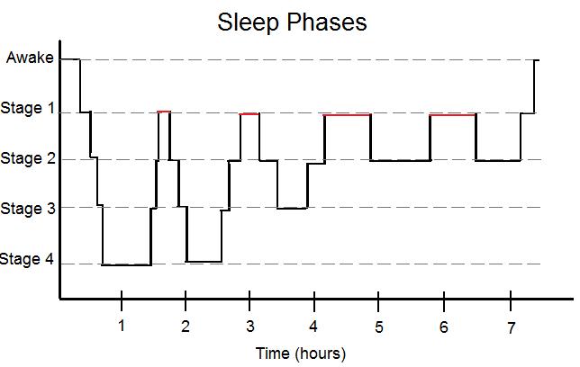 Simplified_Sleep_Phases.jpg