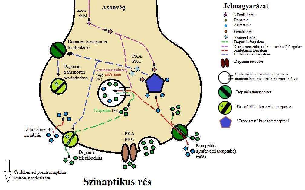 felugró szöveg