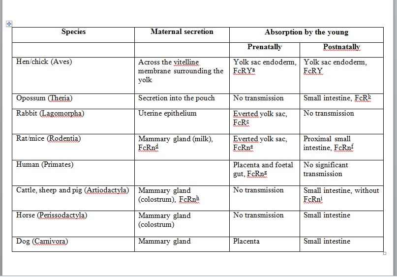 Inter Species Differences in IgG Transmission Processes and The Role of FC Receptors.jpg