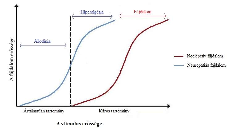 A fájdalom típusai