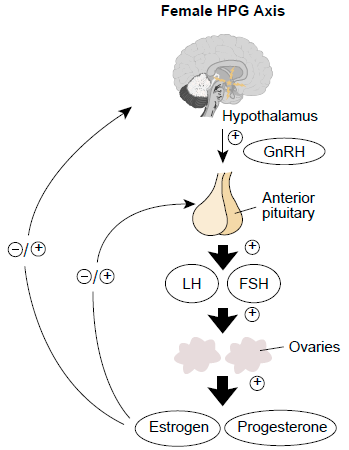 Figure 2.png