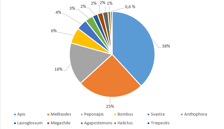 kördiagram.png