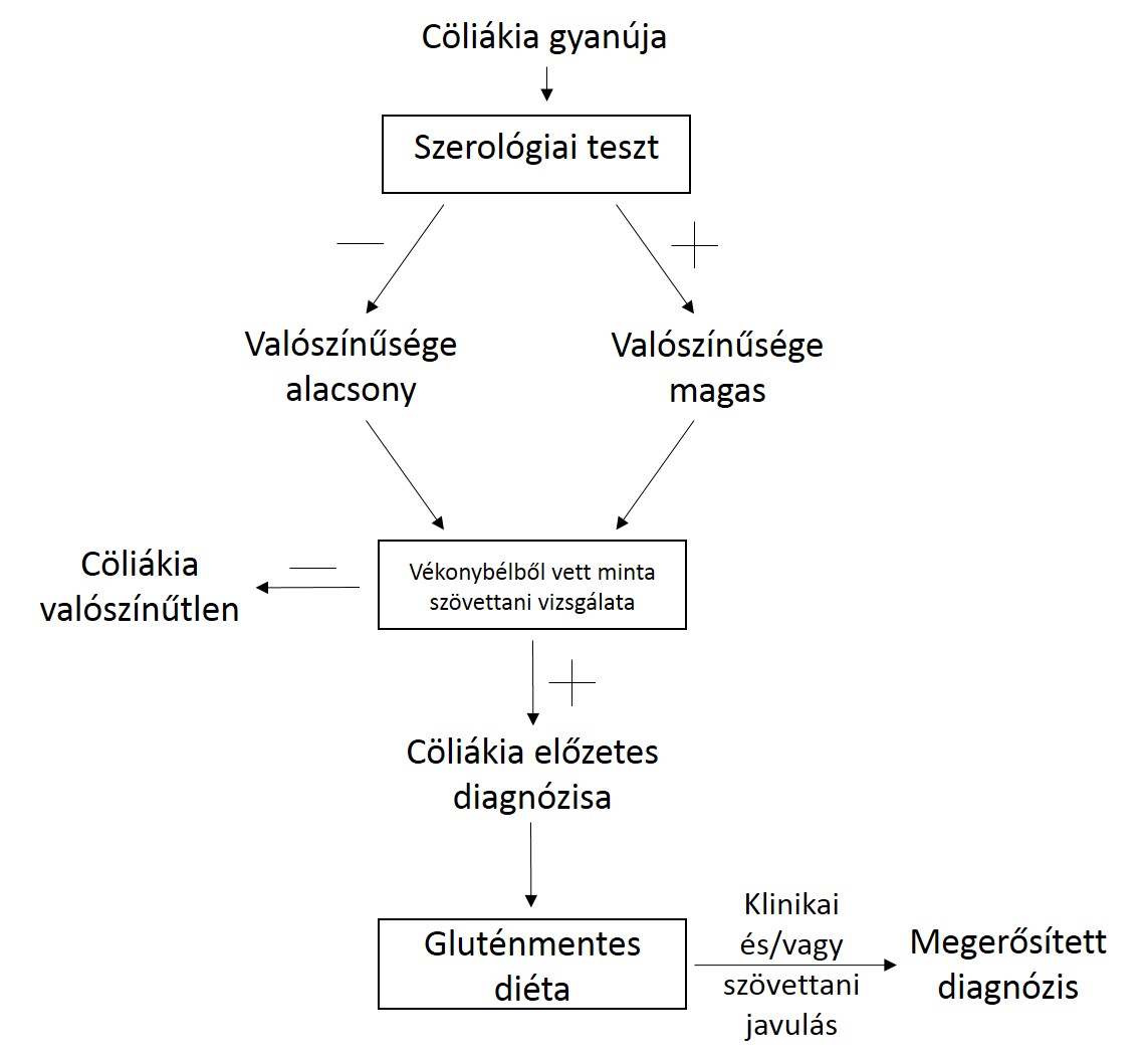 3.ábra: Diagnosztizálás