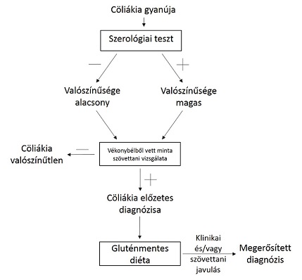 3.ábra: Diagnosztizálás