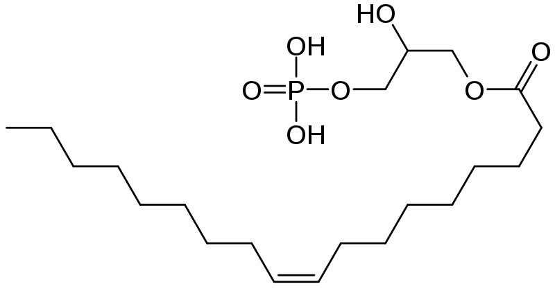 Lysophosphatidic acid structure